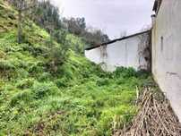 Limpeza de terrenos