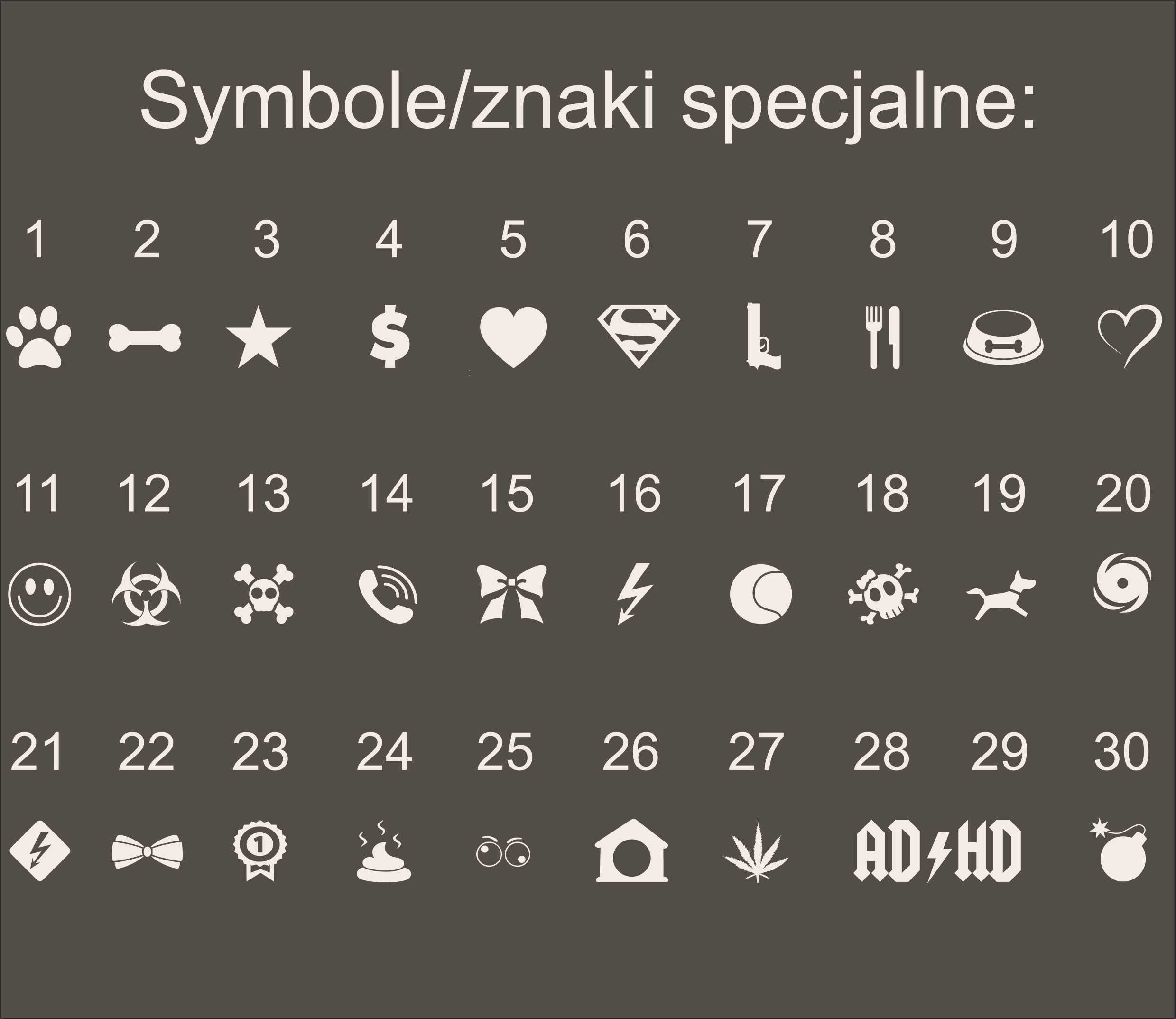 Zawieszka Identyfikator Adresówka Dla Kota Psa Grawerowana Imię Telefo
