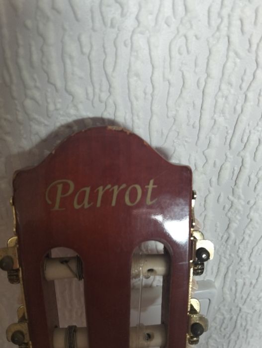 Viola parrot bem estimada