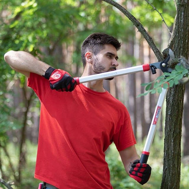 Сучкоріз для обрізання гілок з телескоп. ручками INTERTOOL FT-1115