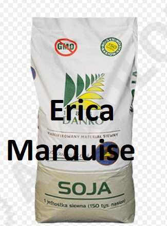 Soja materiał siewny  Erica Marquise Abaca Abelina