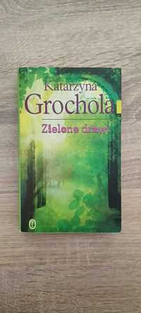 Książka Zielone drzwi Katarzyna Grochola