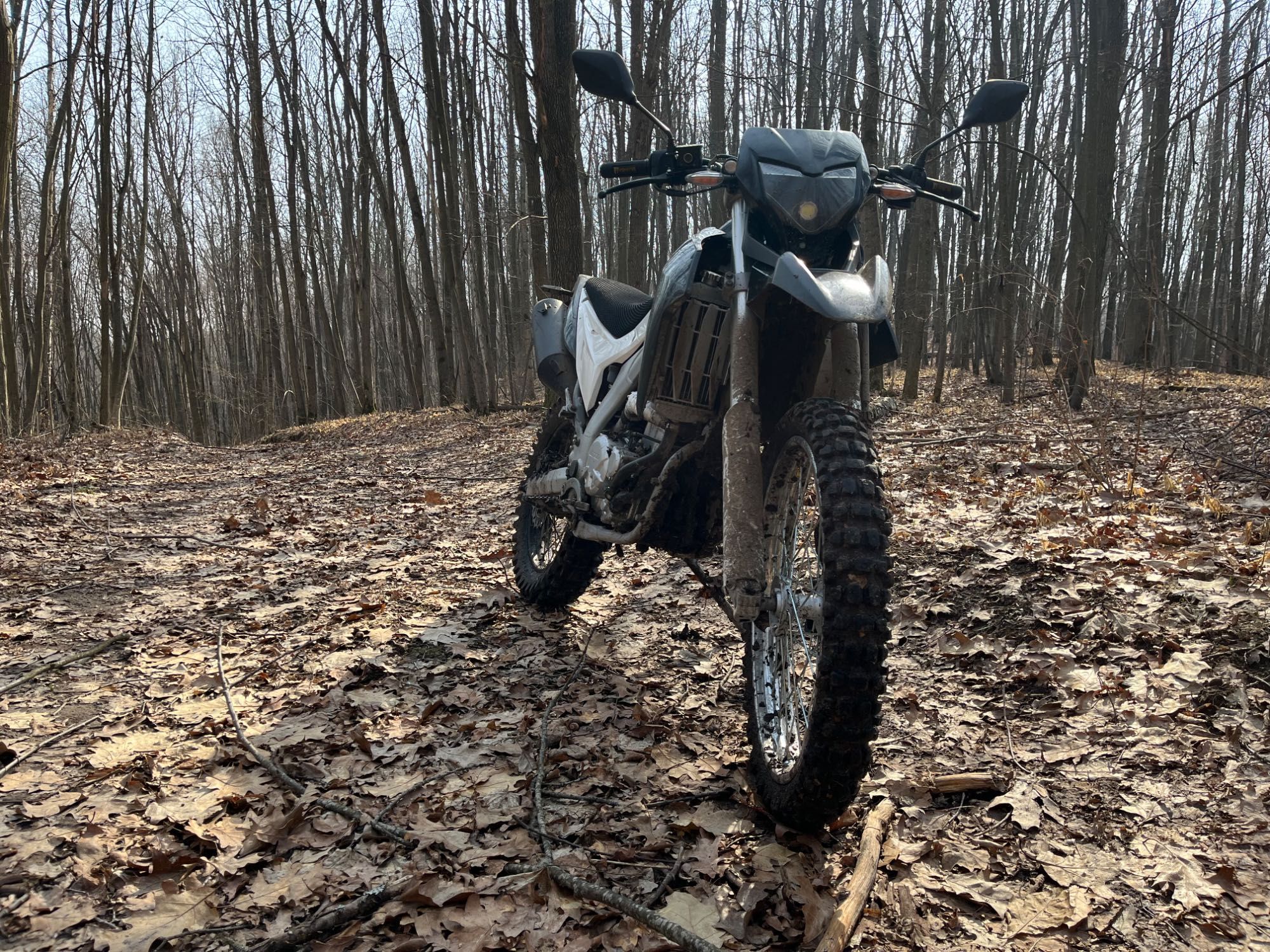 Loncin Lx 300 gy