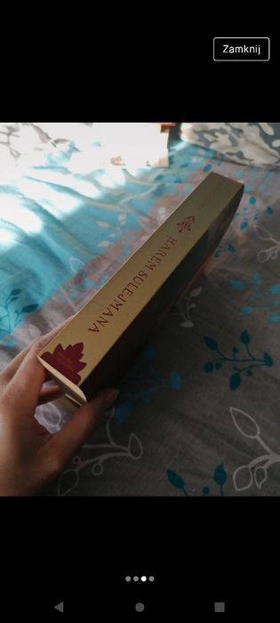 Harem sulejmana falconer