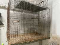 Gaiola para aves