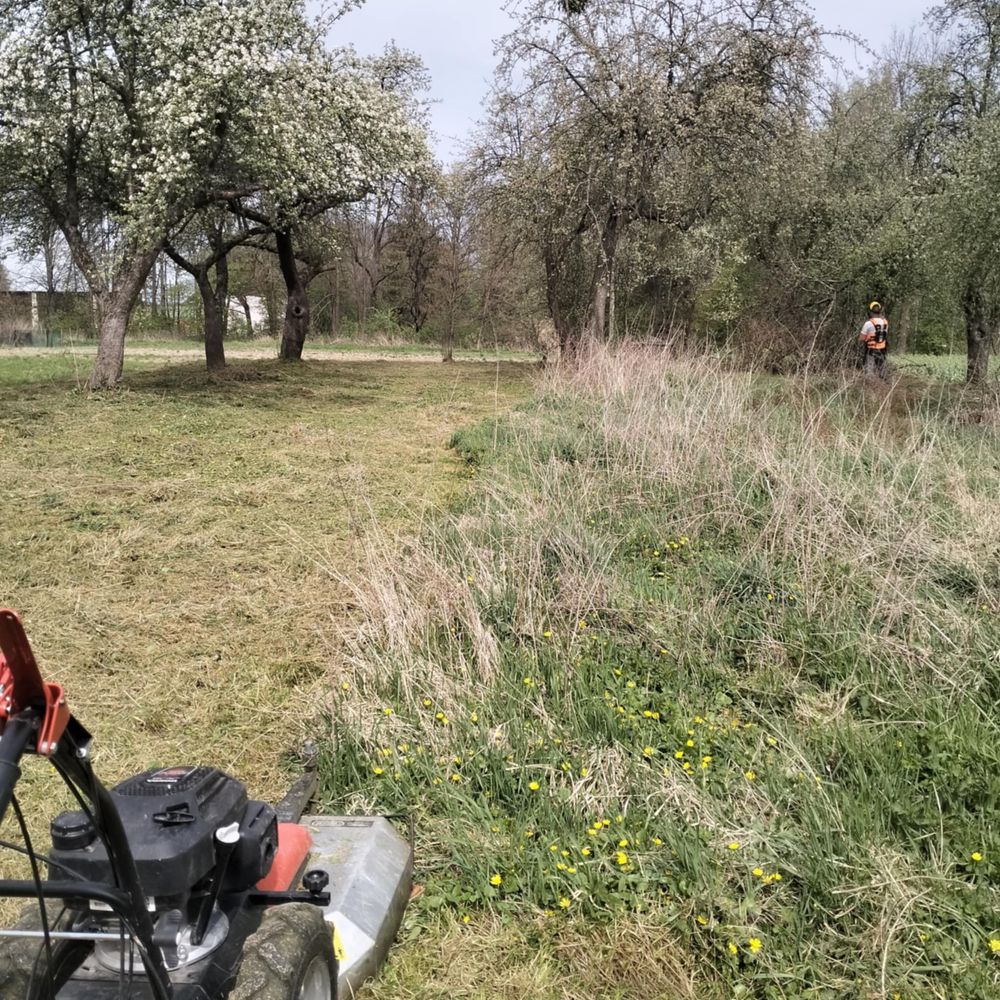 Koszenie karczowanie trawy, czyszczenie kostki brukowej, sprzątanie.