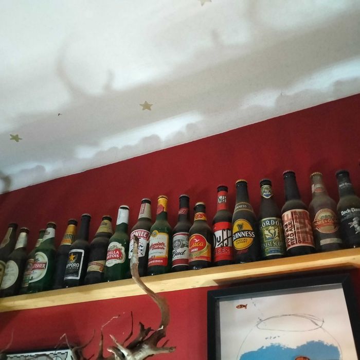 Coleção de 55 garrafas de cerveja, com carica - várias marcas e países