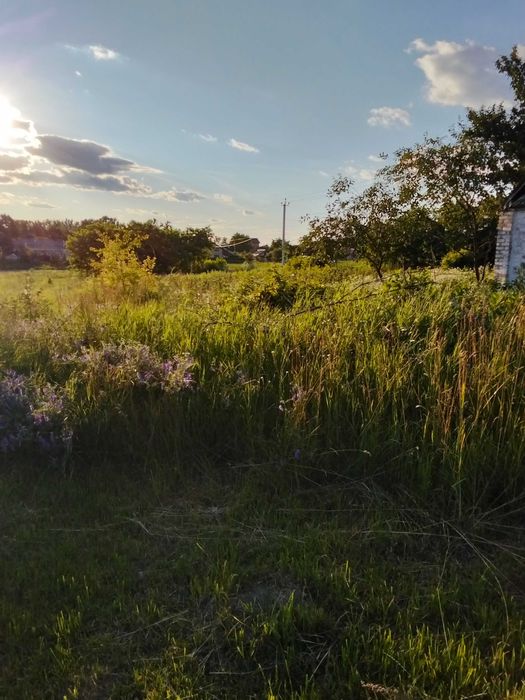 Продам дім і ділянки