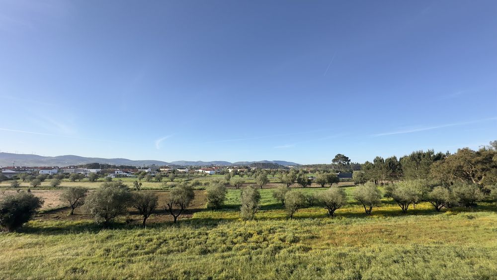 Apartamento T3 na Batalha