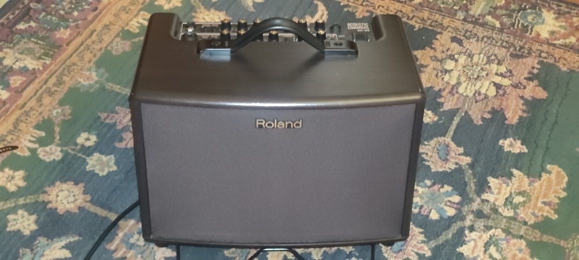 Guitarra Takamine e Amplificador Roland