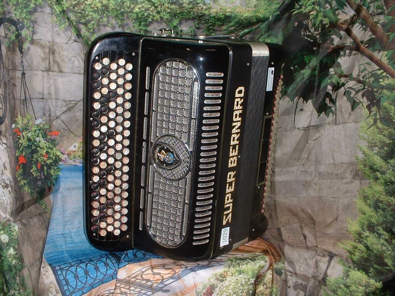 Acordeão em Promoção med de Maio G  n.1029