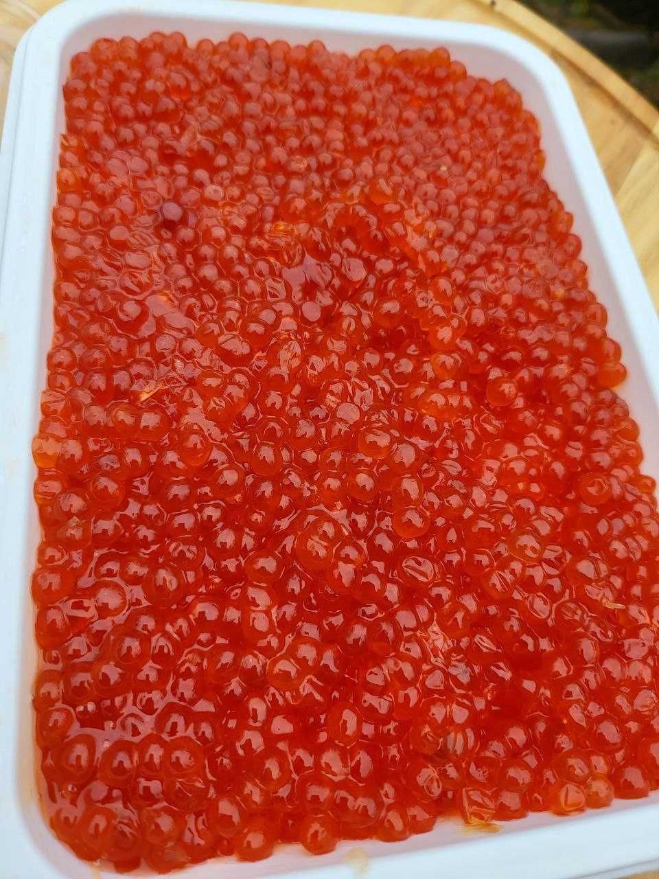 Красная икра горбуши.Икра горбуши.Горбуша.