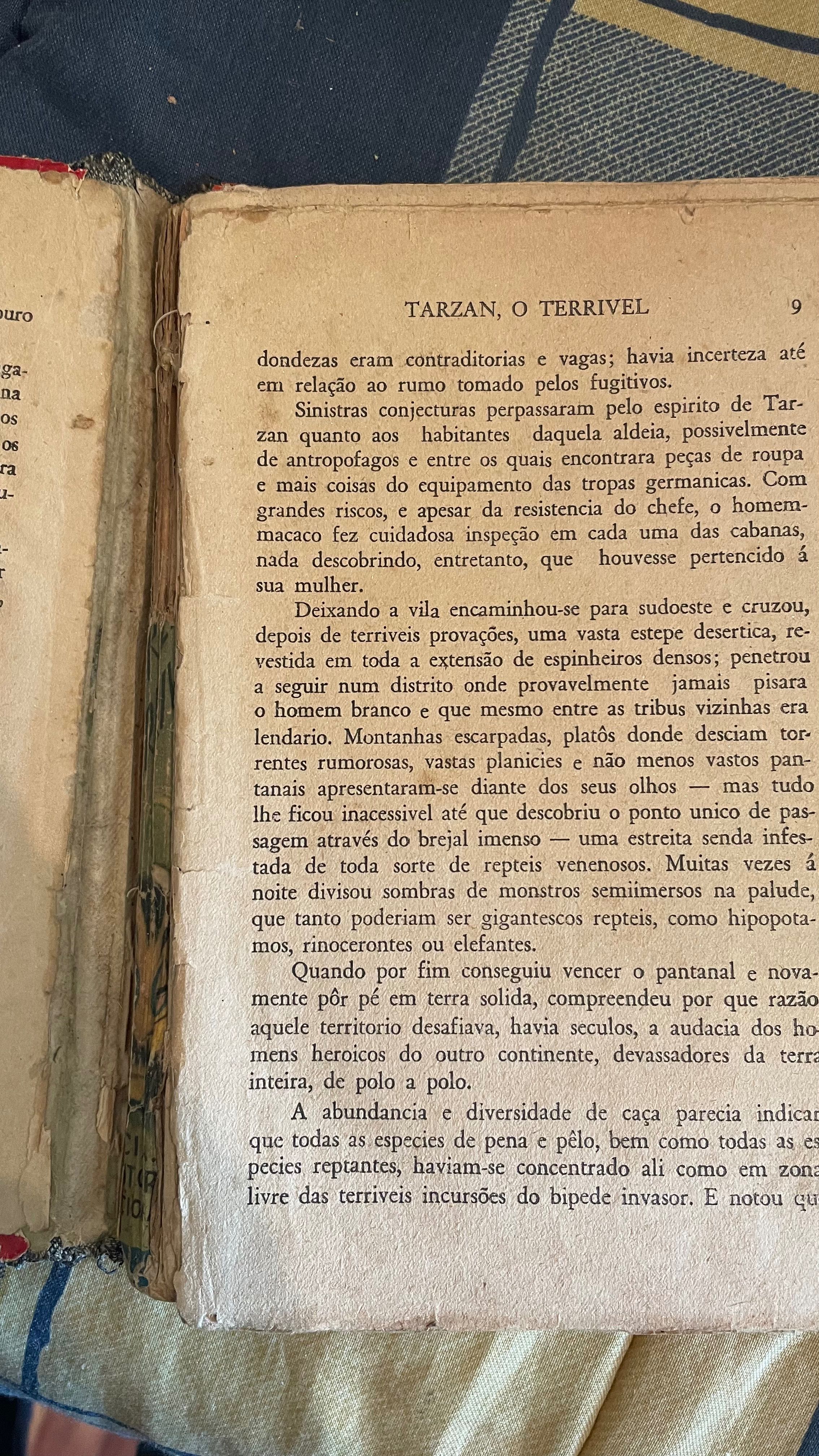Livro Tarzan, O Terrível