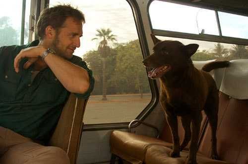 RED DOG - Uma História de Lealdade (Josh Lucas/Rachael Taylor)