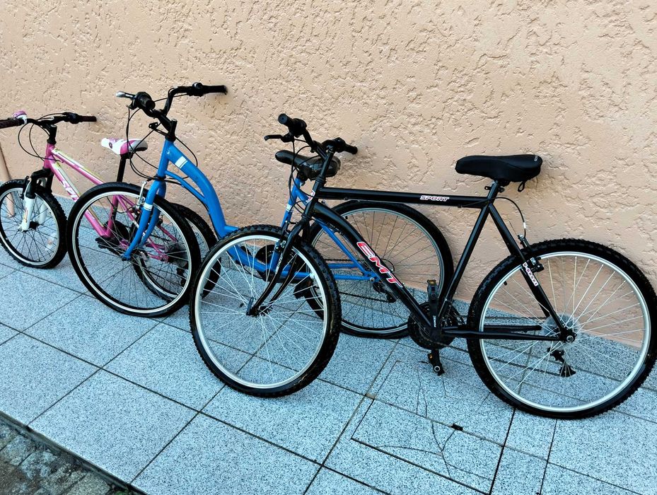 125€ - 3 Bicicletas Homem, mulher e criança