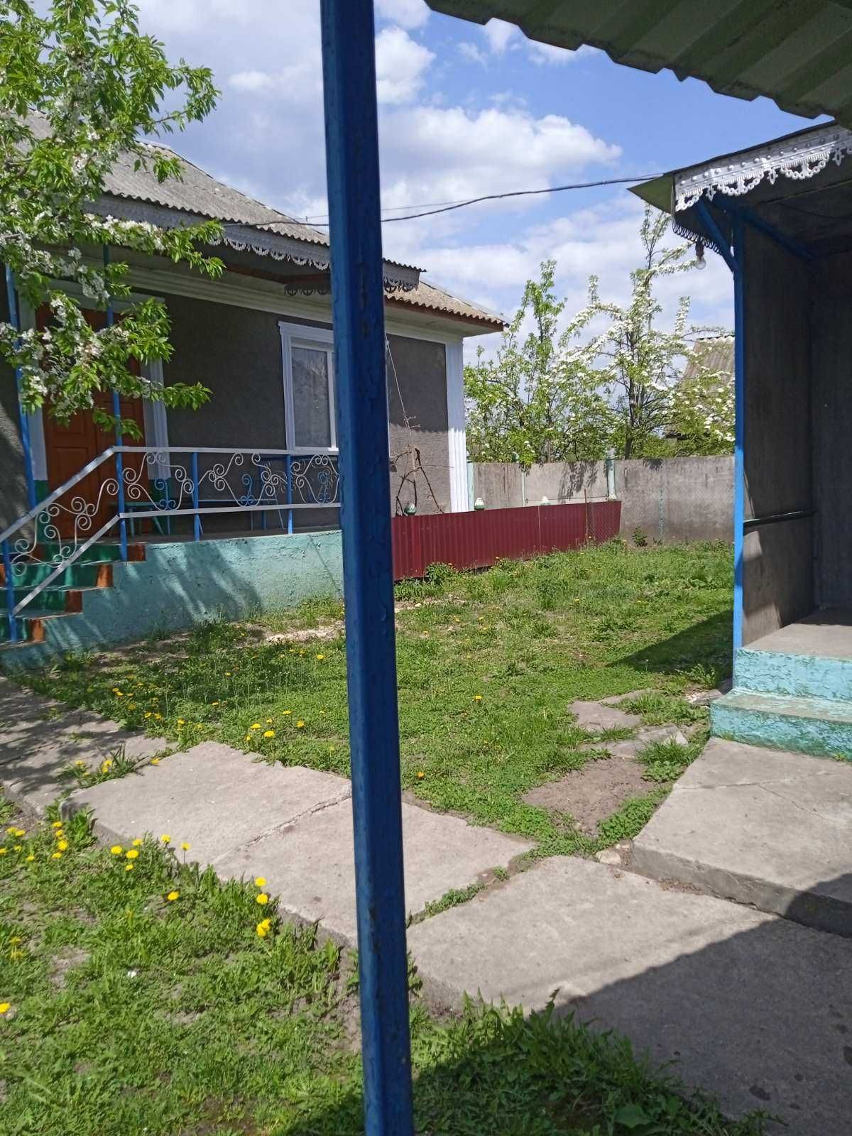 Продам будинок в с. Міцівці