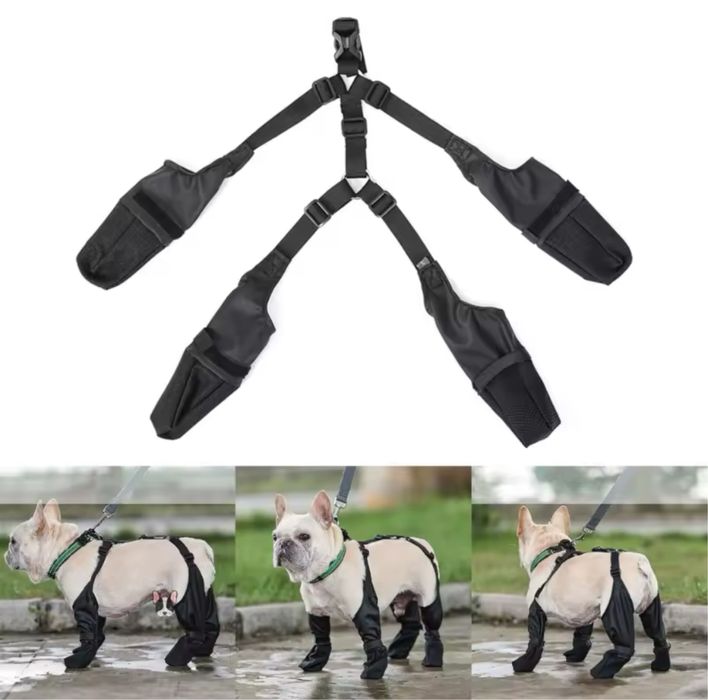 Взуття для собак