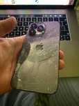 Продам iphone 13 про битий
