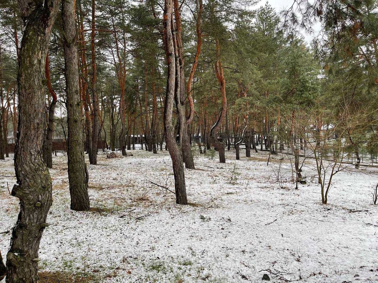 Продам участок в Кировском (Обуховка), "Сосновый берег", Лес и река