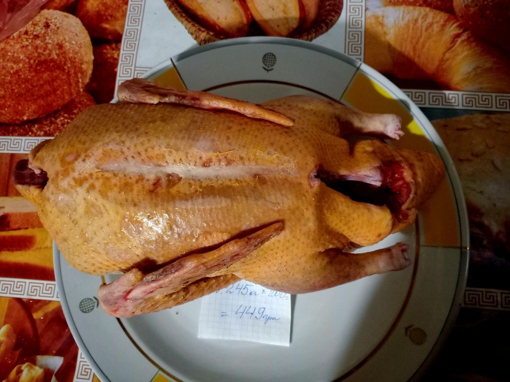 Мясо утки домашней