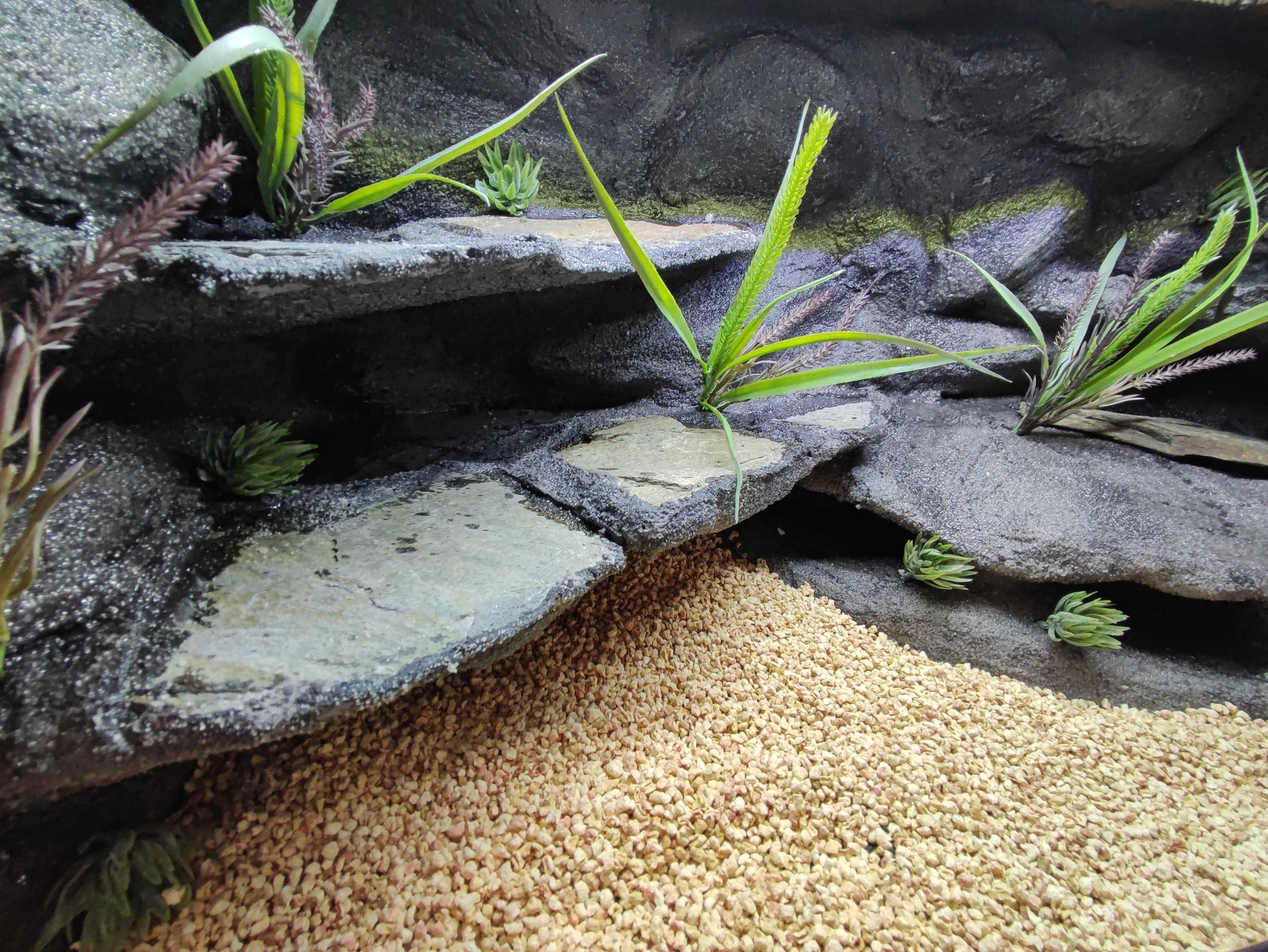 Terrarium pustynne nr744 80/40/40 dla gekonów lamparcich DOSTĘPNE