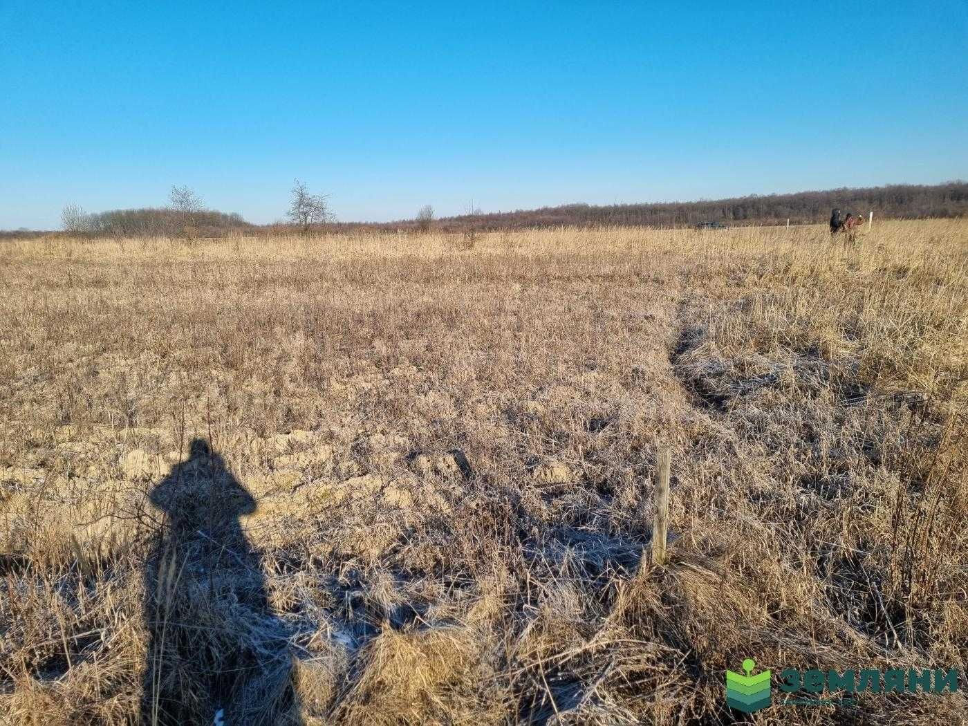 Продаж земельної ділянки 12 сот під будівництво с.Колодіївка