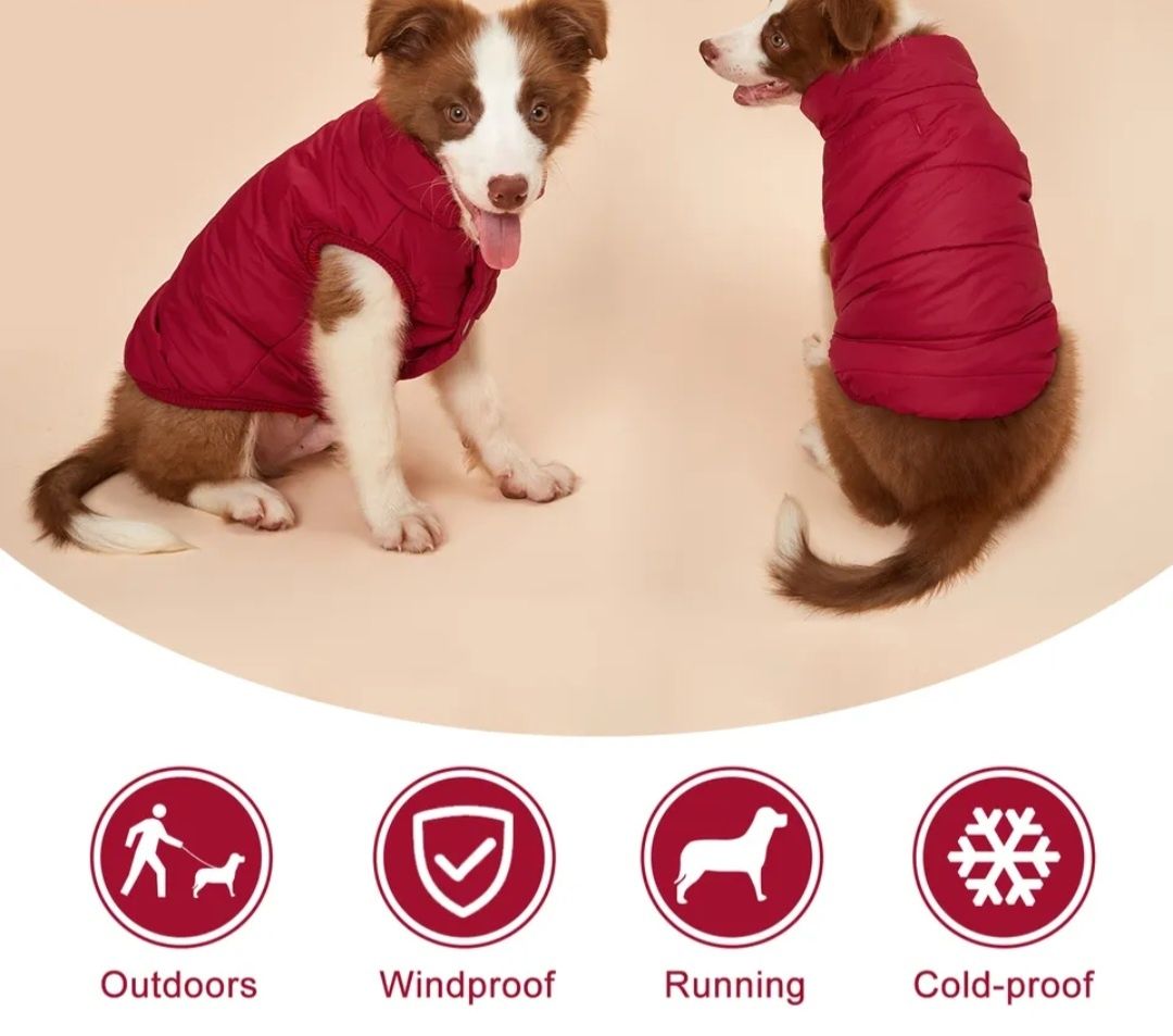 Зимовий одяг для собак