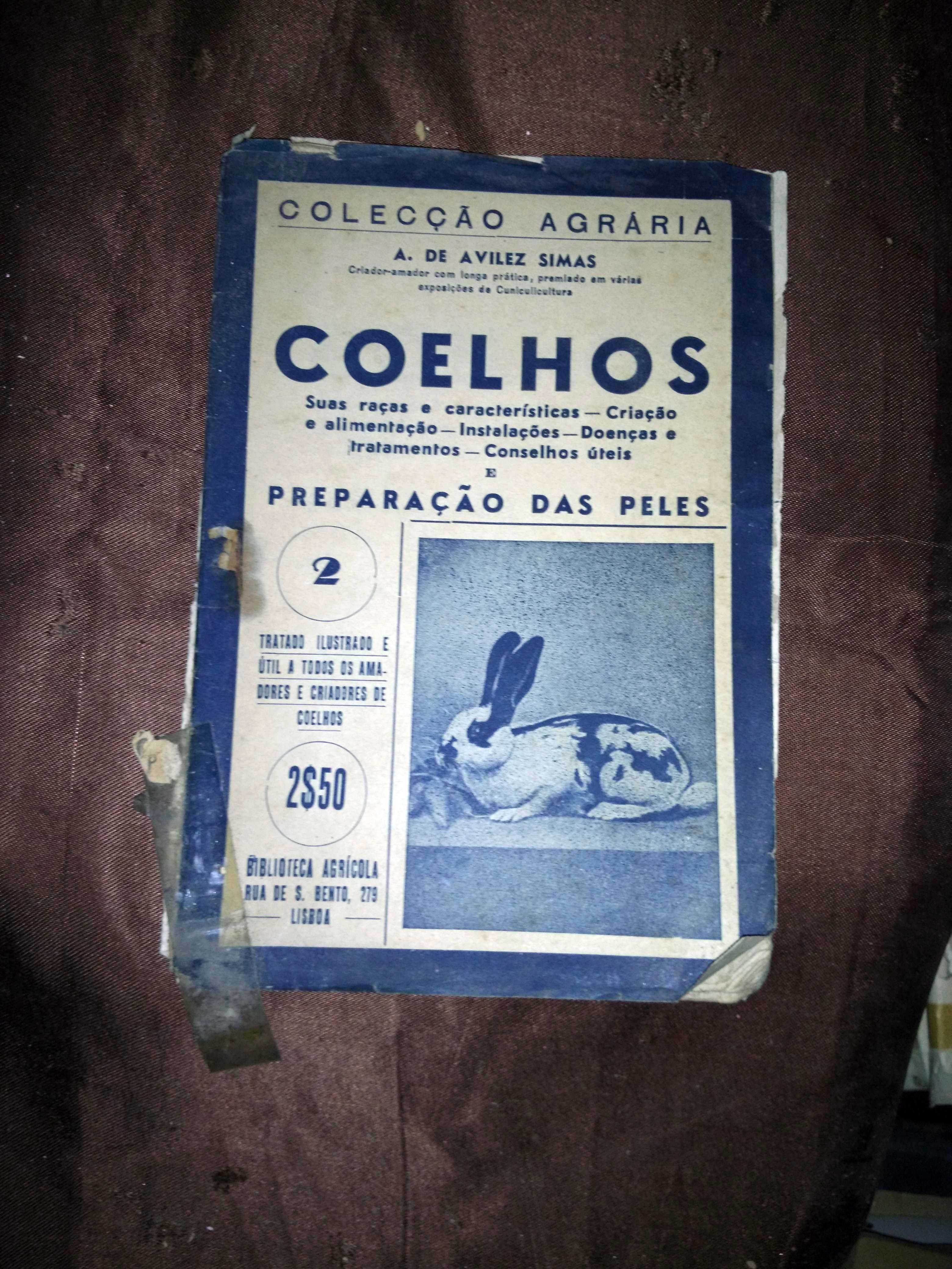 Coelhos - Colecção Agrária