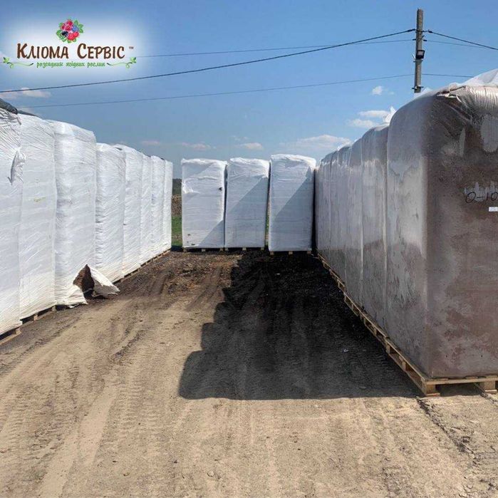Верховий Торф у Стосах. Кислий, Розкислений. Країни Балтії/6000 л