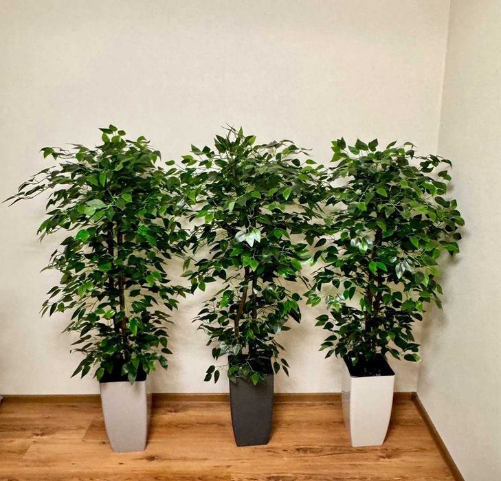 Декоративні штучні дерева вазони рослини