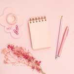 Preparação Exames Nacionais e + 23 História/Inglês/Português Online