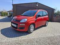 Fiat Pana III 2013
