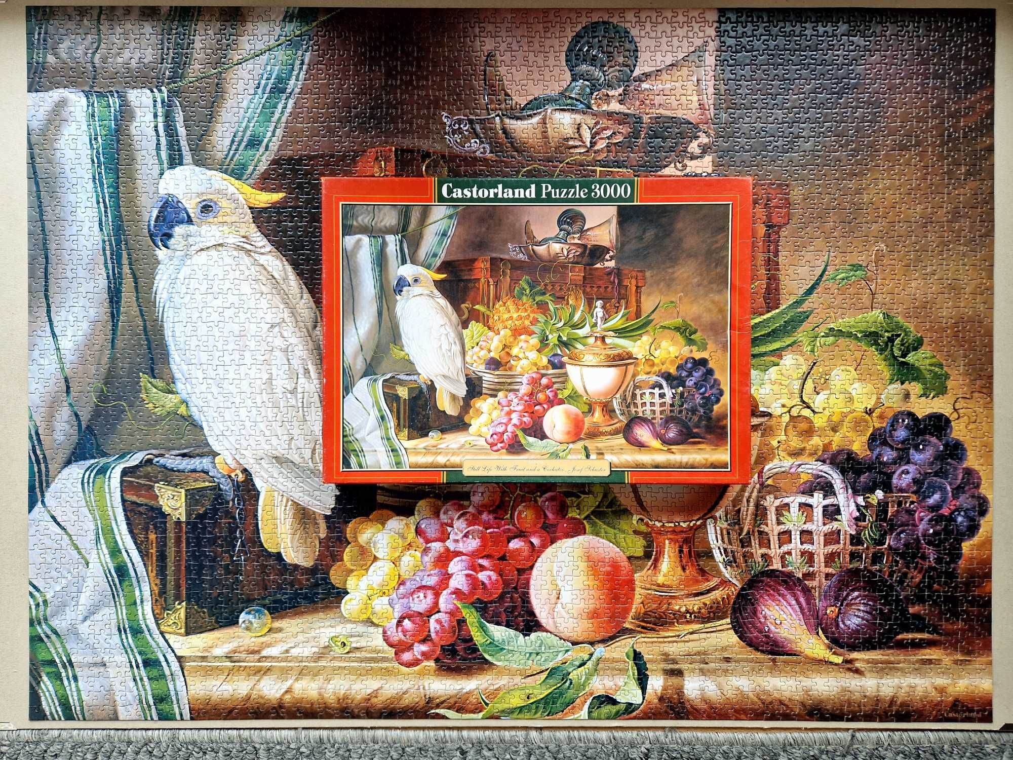 puzzle Castorland 3000