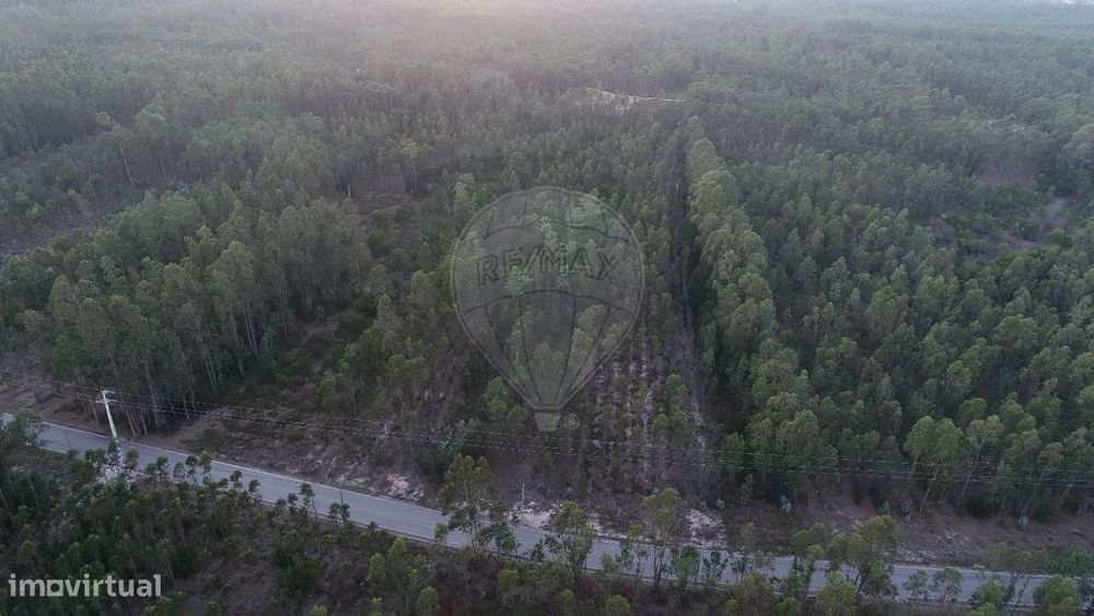 Terreno  para venda