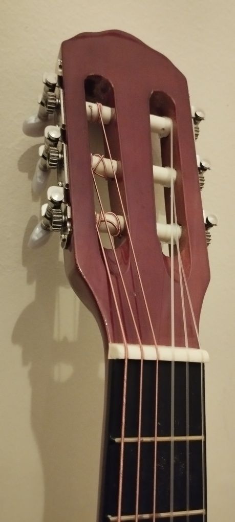 Guitarra Rocio C6n