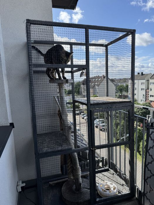 Klatka dla kota na balkon