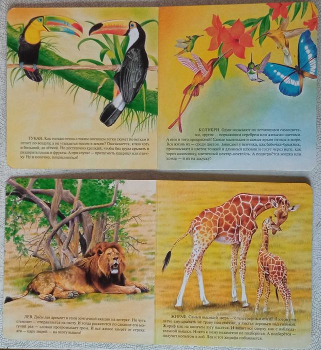 Кто в Южной Америке Живет/ Кто в Африке Живет/ Беличья память