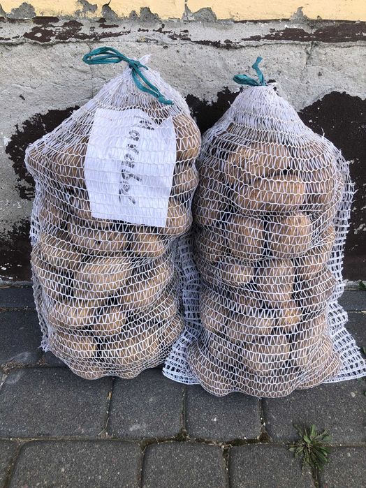 Ziemniaki jadalne Marabel Bernina Bellarosa Vineta