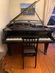 Piano Meia Cauda