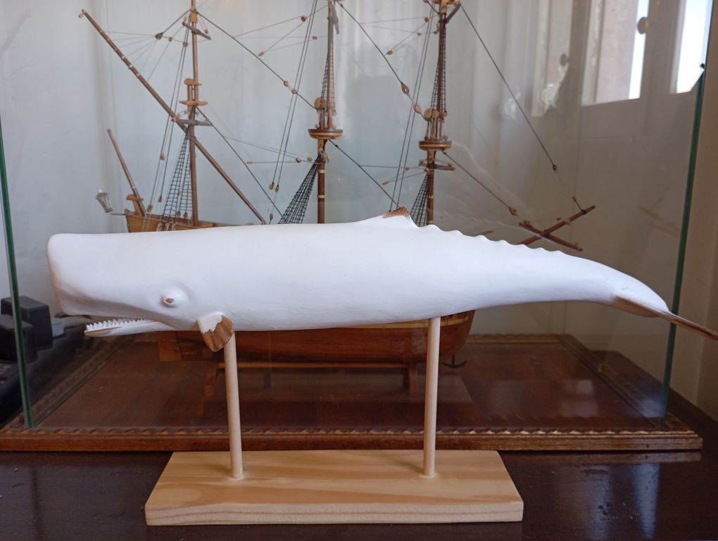Baleia decorativa