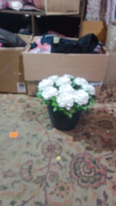 Роблю Букети з Гіпсових Троянд