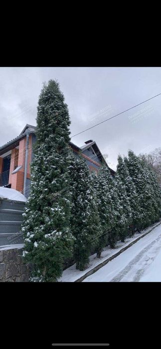 Приватний будинок та бізнес поруч, в історичному центрі міста!