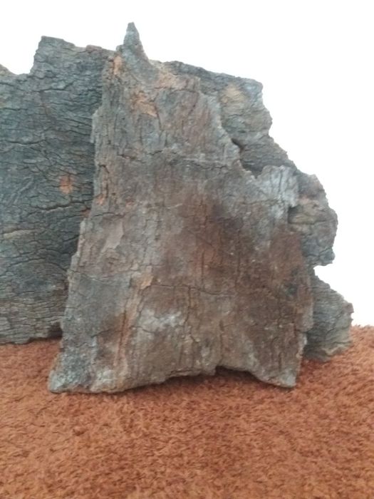 Placas de cortiça decorativas