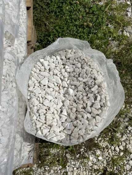 Grys Biała Marianna I Gatunek Akwarium Ogród Opaska Podjazd