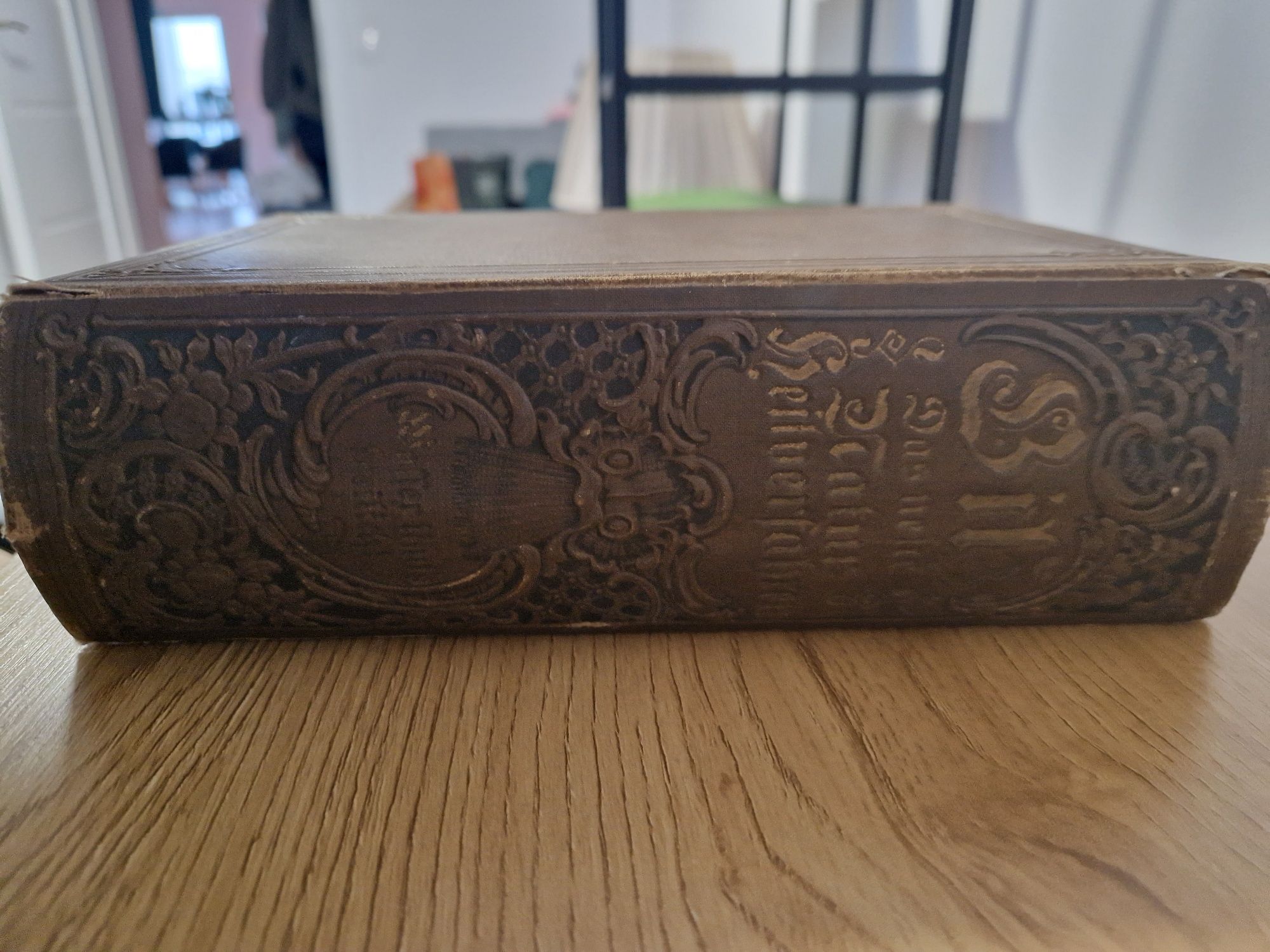 Książka Bilz - Das neue Naturheilverfahren 1894