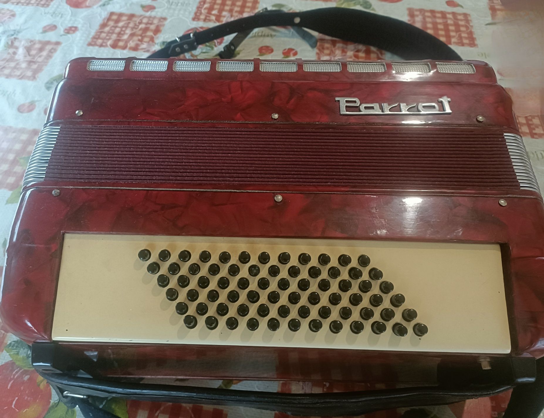 Acordeão Parrot  72 baixos, com caixa,  afinado, com palhetas novas  N