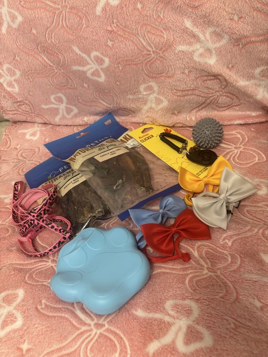 Akcesoria dla pieska