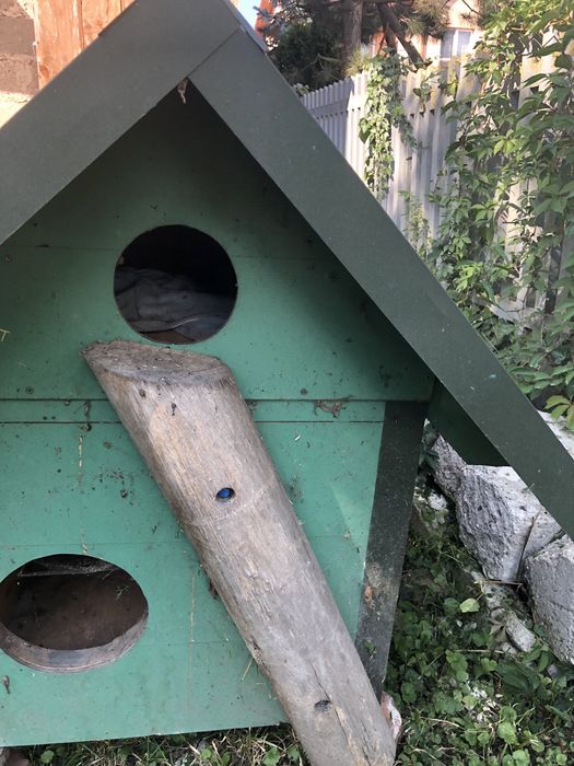 Super buda domek dla pieska , kotka…