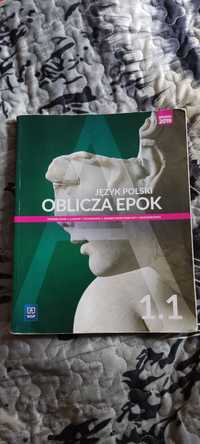 Podręcznik do polskiego, Oblicza epok 1.1