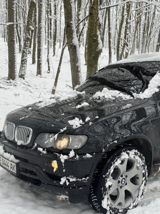 Срочно в продажі Х5Е53 4.4 бенз 2003 Прямоток